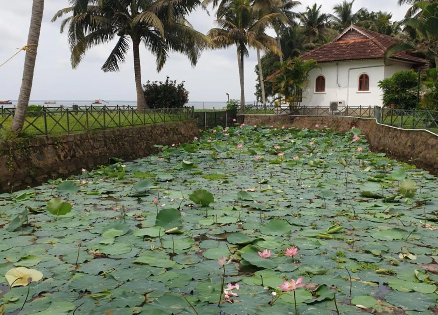 Hotel Backwater Ripples Kumarakom Resort