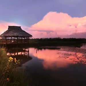 Resort Coconut Lagoon Kumarakom- A Cgh Earth Experience